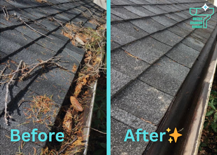 Before vs After gutter clean 2