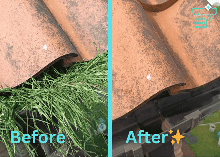Gutter Clean Example 5